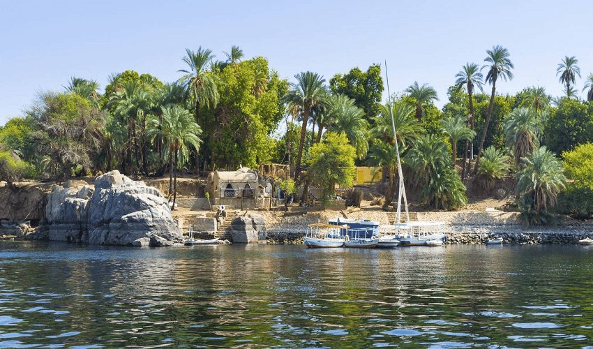 Boatnical Garden Boatnical Garden