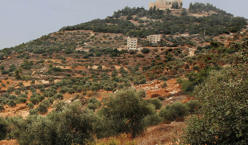 Tour a Jerash, Ajloun & Umm Quais