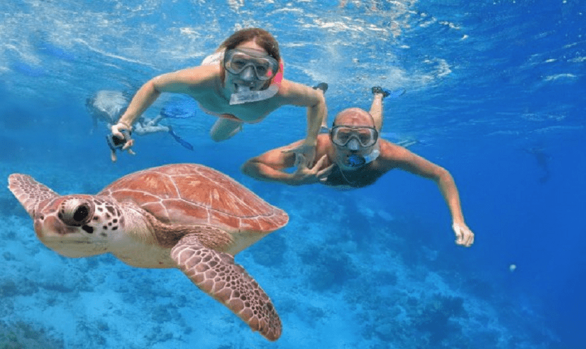Snorkeling a Ras Mohamed dalla Marina Di Sharm