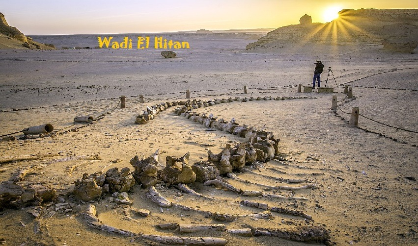 Valle de las Ballenas y El Cairo