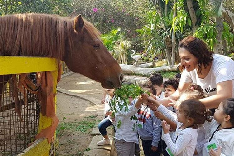 Tour to Egyptian village (countryside)
