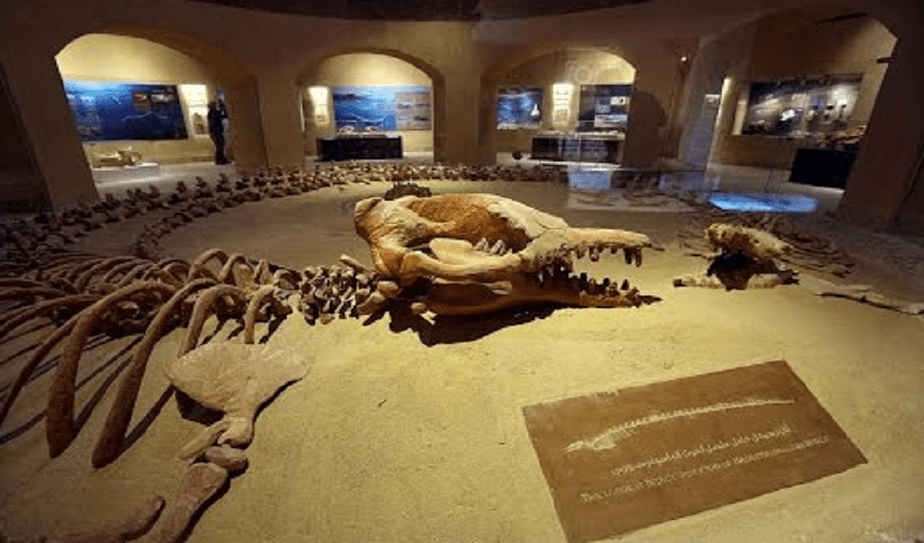 Wadi Hitan Wadi Hitan